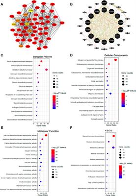 Pan-Cancer Analysis of the Solute Carrier Family 39 Genes in Relation to Oncogenic, Immune Infiltrating, and Therapeutic Targets